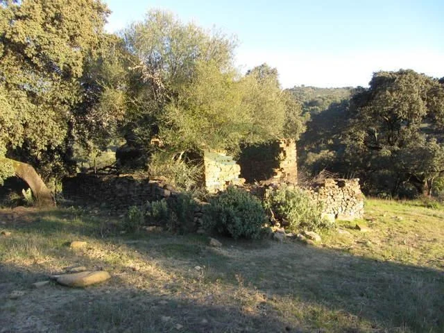 Casa de piedra en finca de 4 hectáreas
