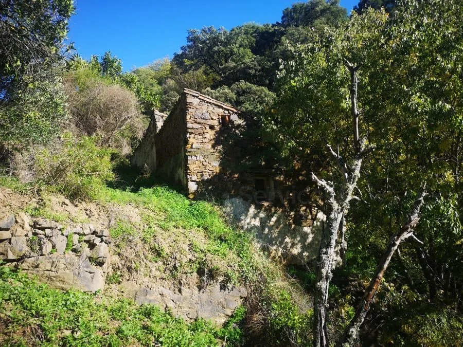 Finca rústica con parcela de 13.153 m²