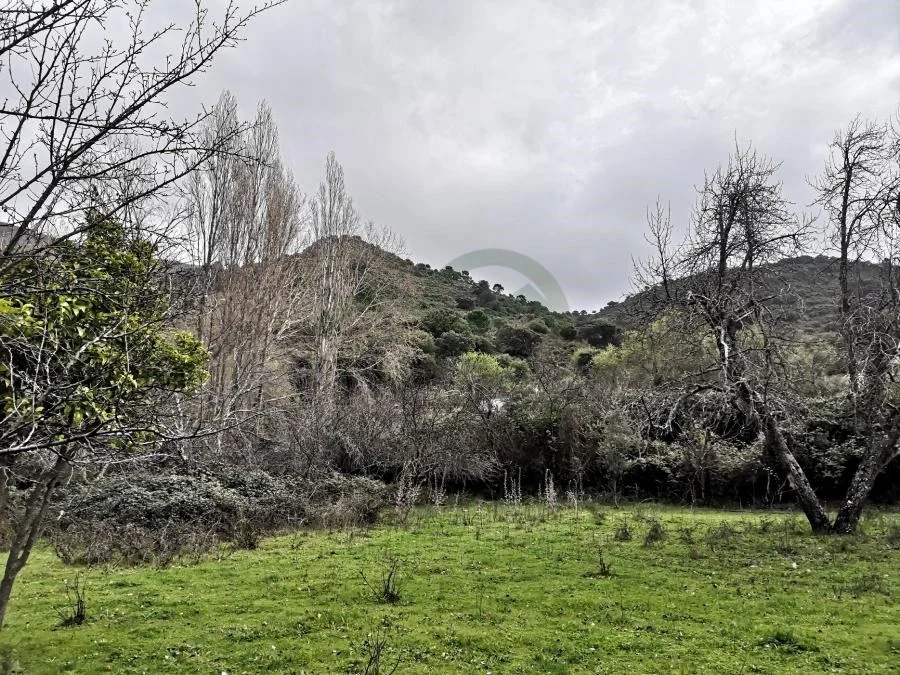 Gran parcela en Algatocín con finca