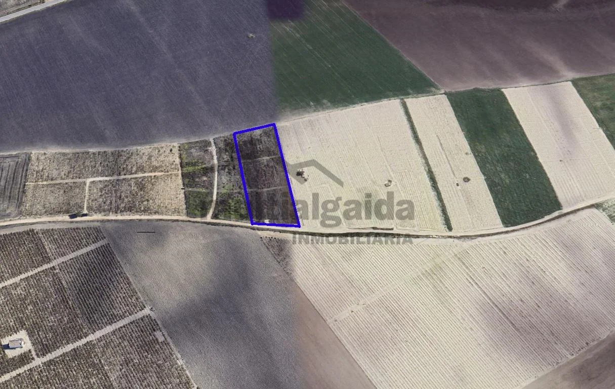 Parcela rústica de viña de 7.119 m²