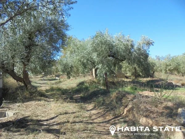 Terreno regadío en Abrucena con cultivos