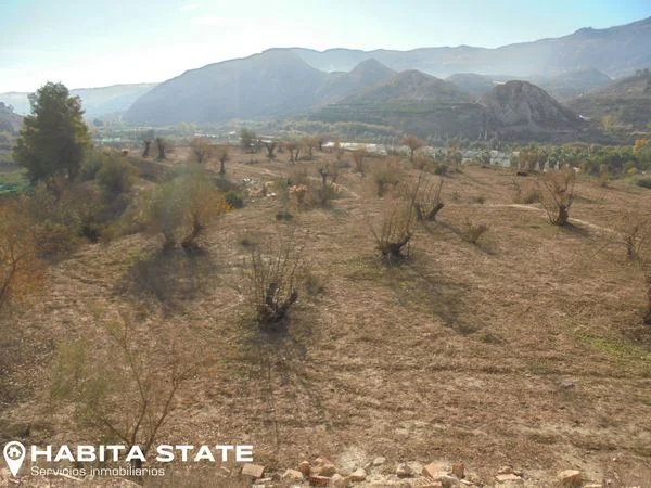 Rural plot near Terque with cave