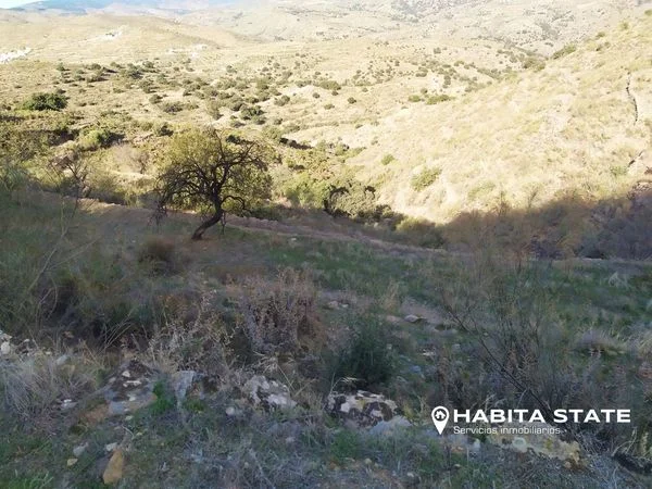 Gran finca rural de caza cerca de Benizalón