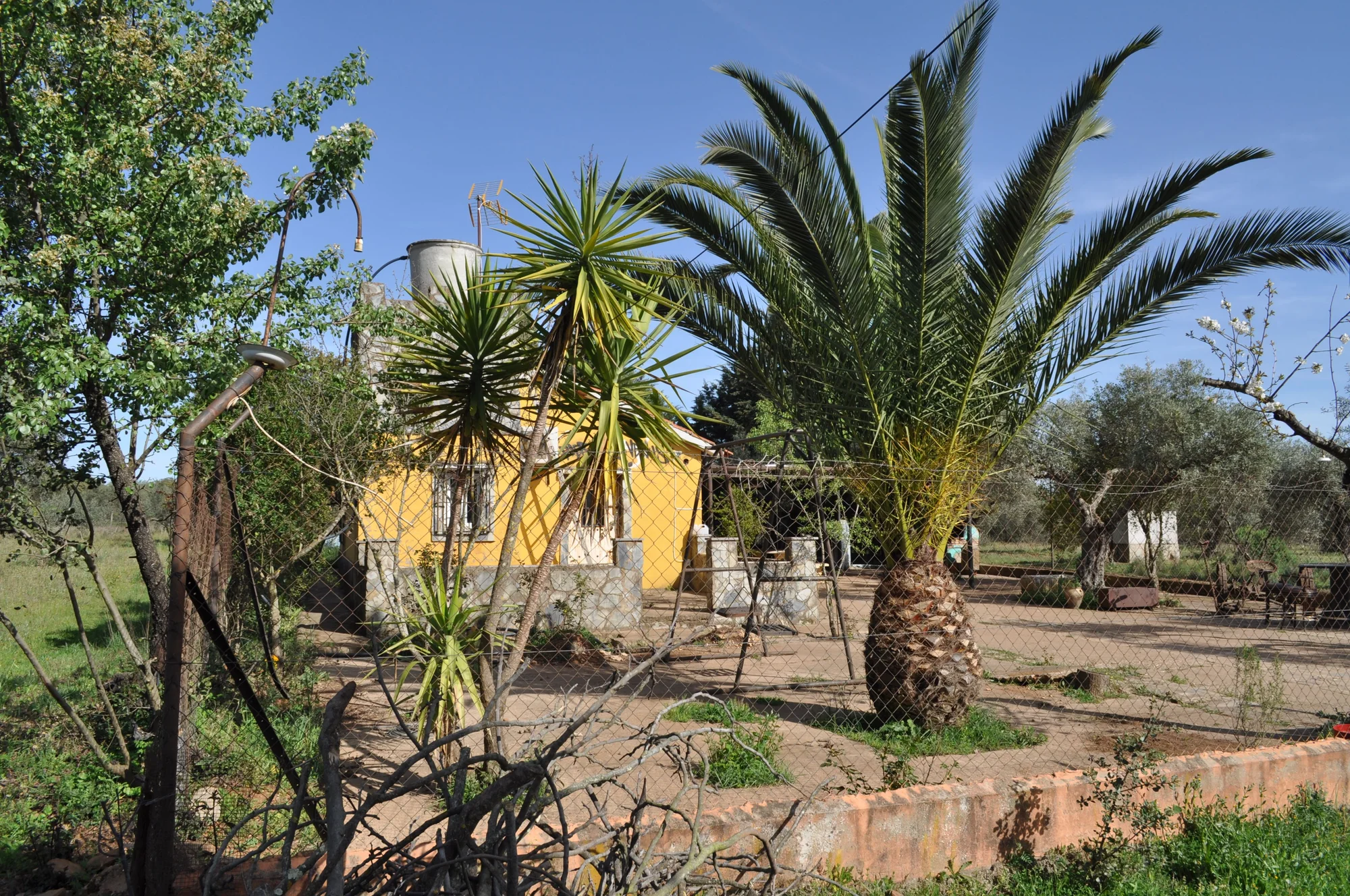 Legalized country house with olive grove