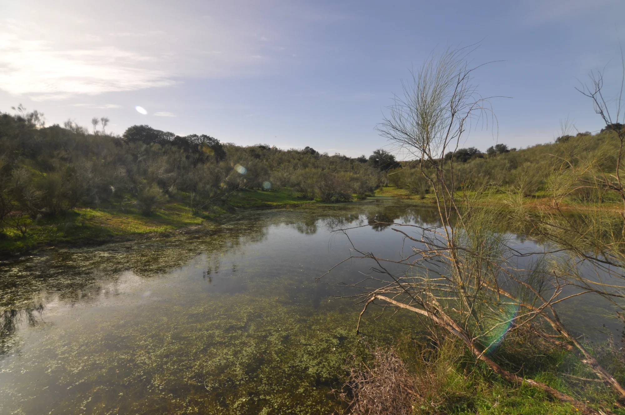 Rural estate near Alcántara with reservoir