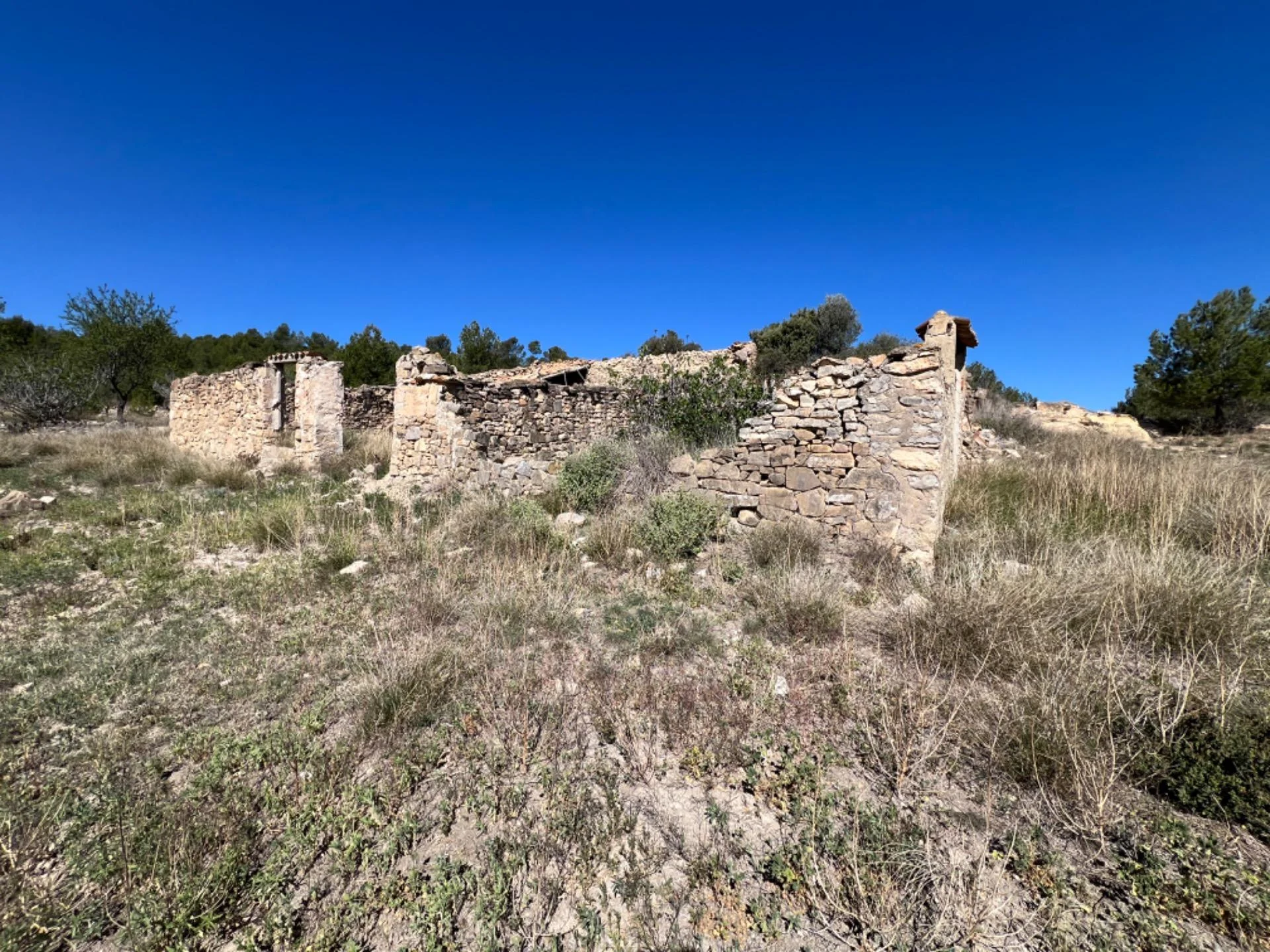 Finca rústica de olivos con 161 m²