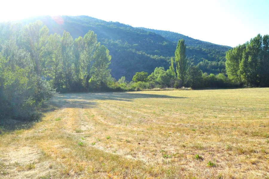 5,000 m² plot with old structures