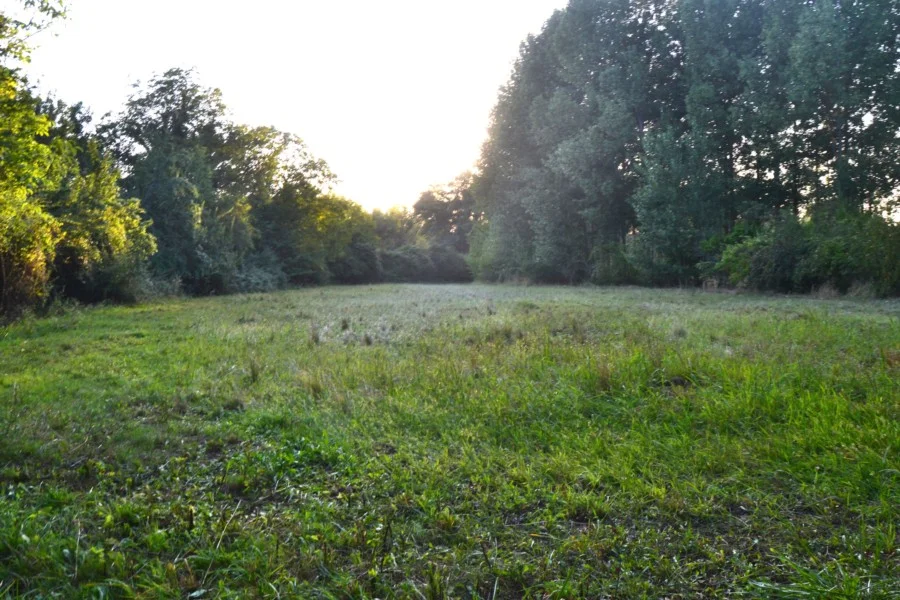 Rural plot near Jaca, 3,435 m²