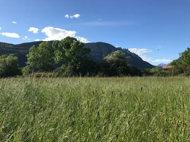 Parcela en el valle de Tena con vistas