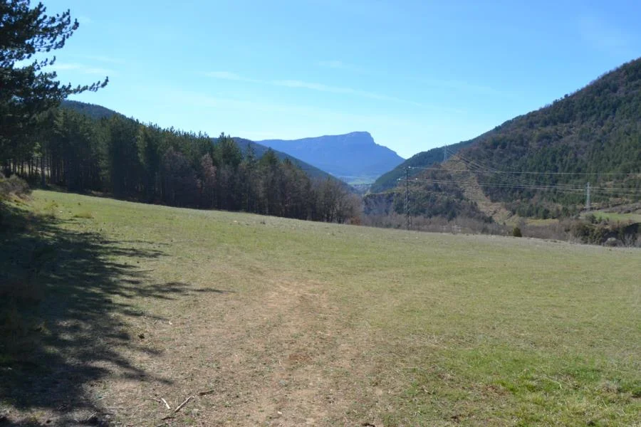Rural plot near Jaca, 10,000 m²
