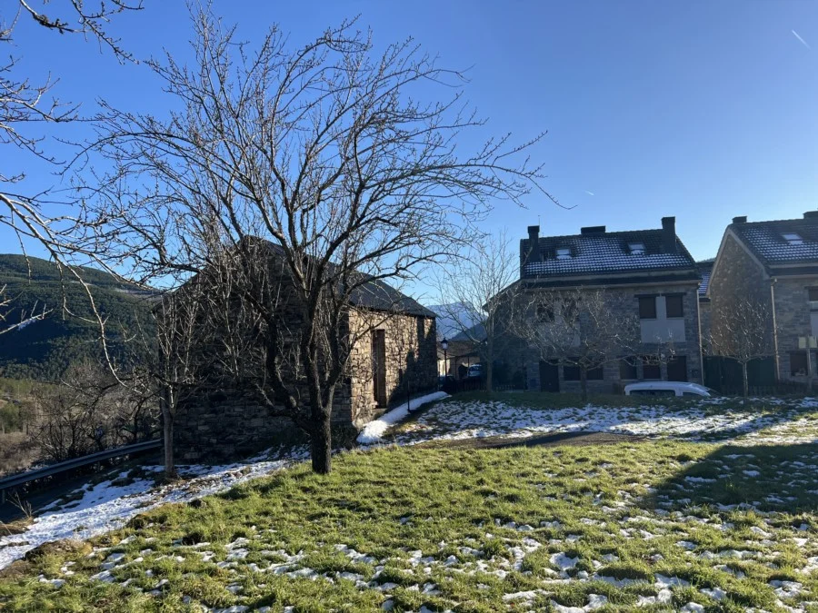 Pyrenean plot for four chalets