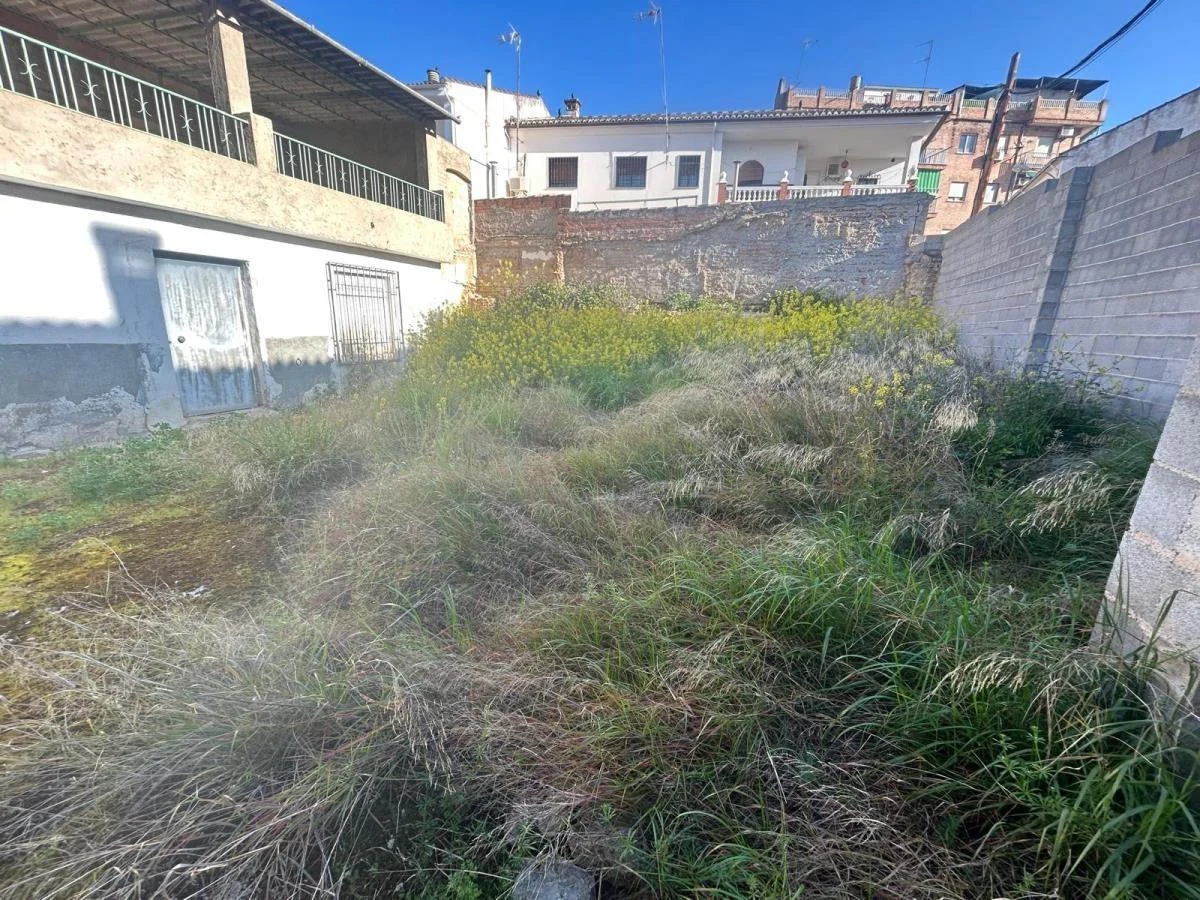 Central Atarfe plot, 240 m²