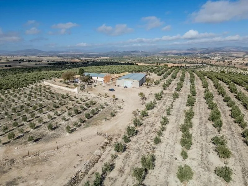 Productive rural estate with 223 hectares