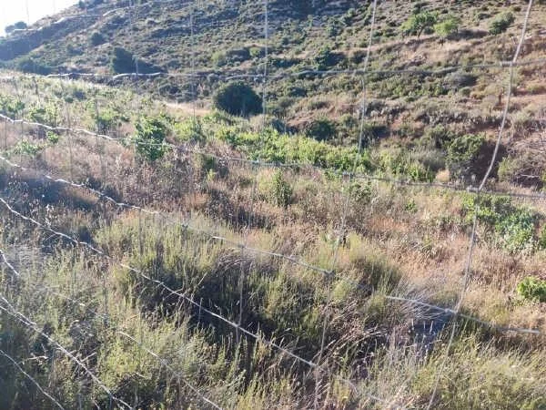 Irrigated rural land near Albuñuelas