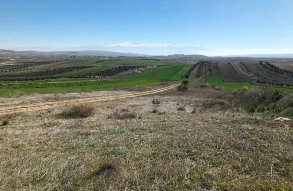 Gran cartera de terrenos rústicos agrícolas