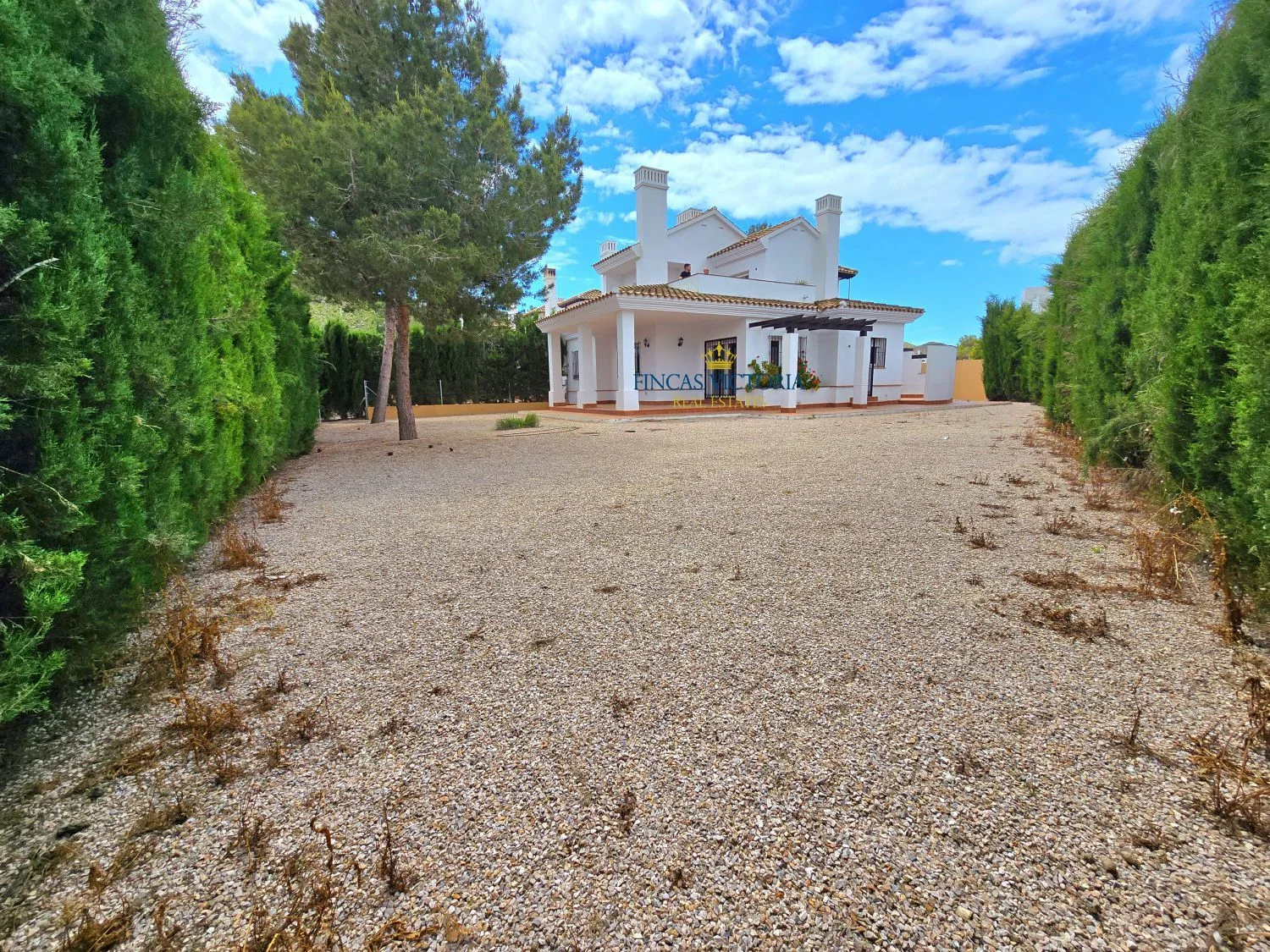 Reformed Las Palas townhouse, 434m² plot