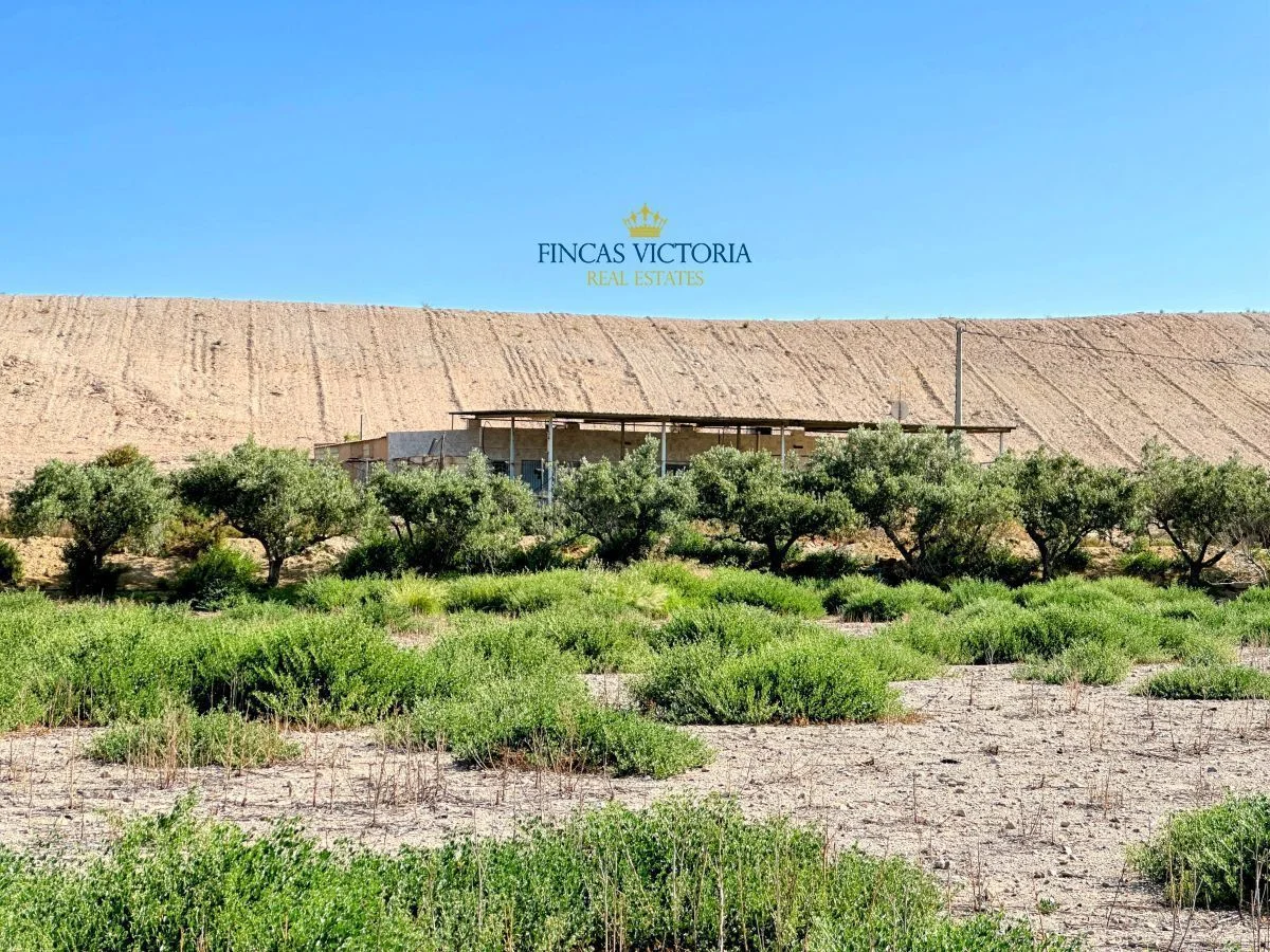 Country house with extensive Águilas plot