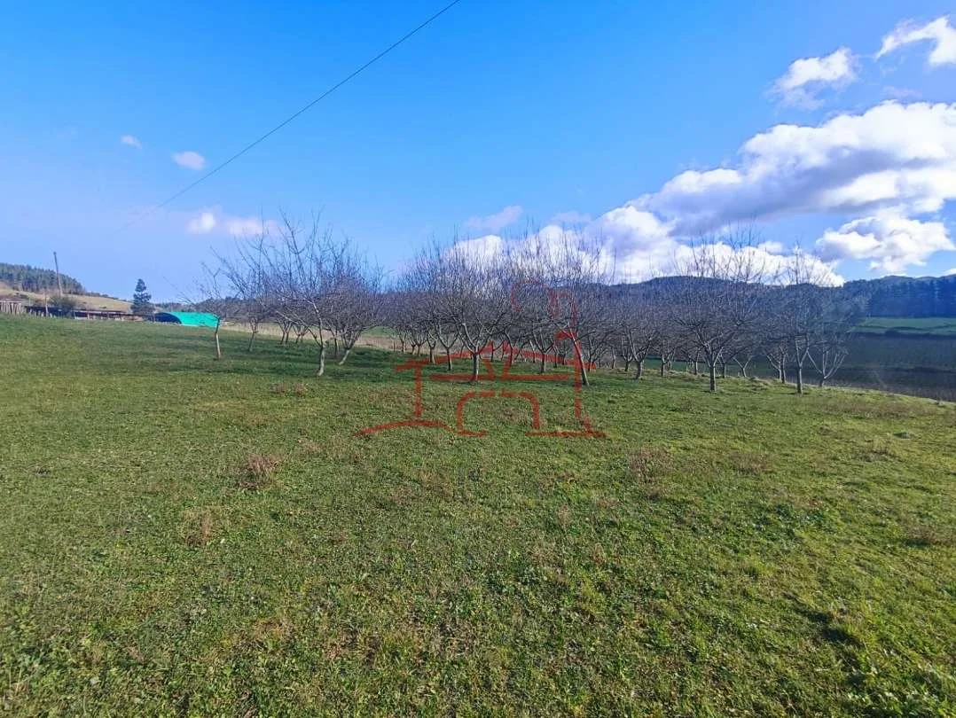 Rural land near Durango, 12,607 m²