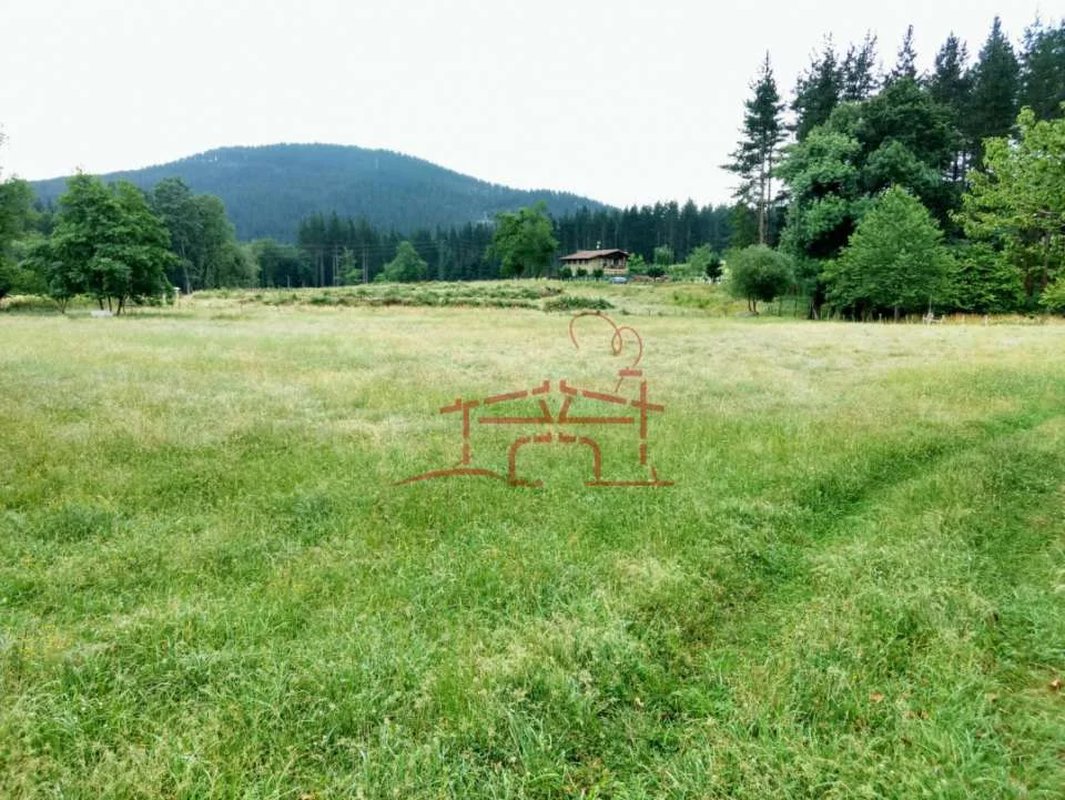 Rural land with 200 apple trees