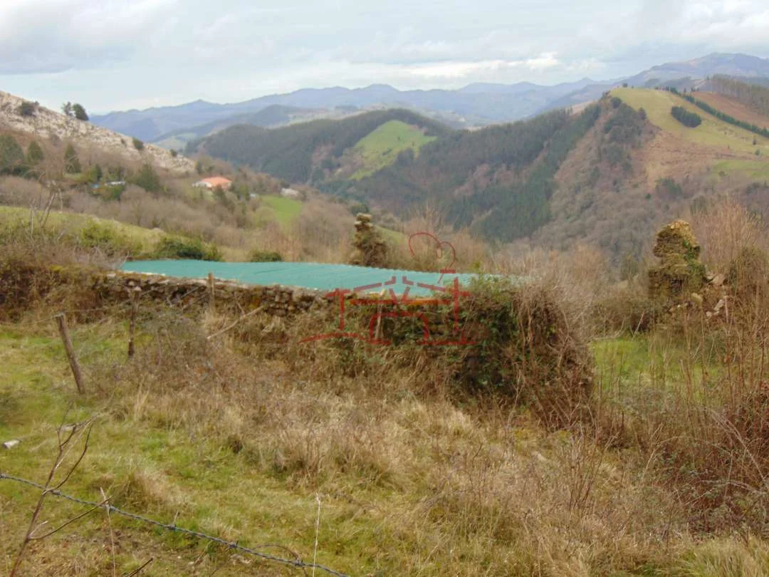Derelict farmhouse with 9-hectare land