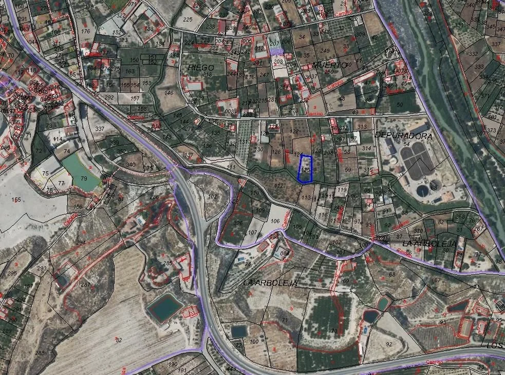 Archena plot with 1,037 m²