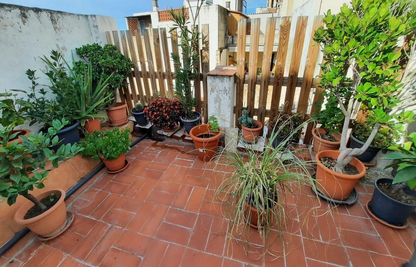 Three-bedroom house in historic centre