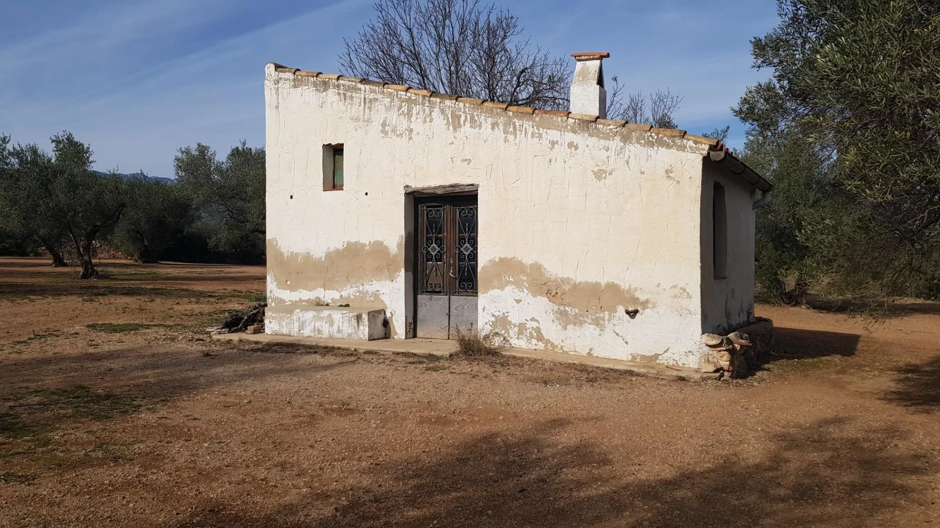 Rustic olive plot with field hut