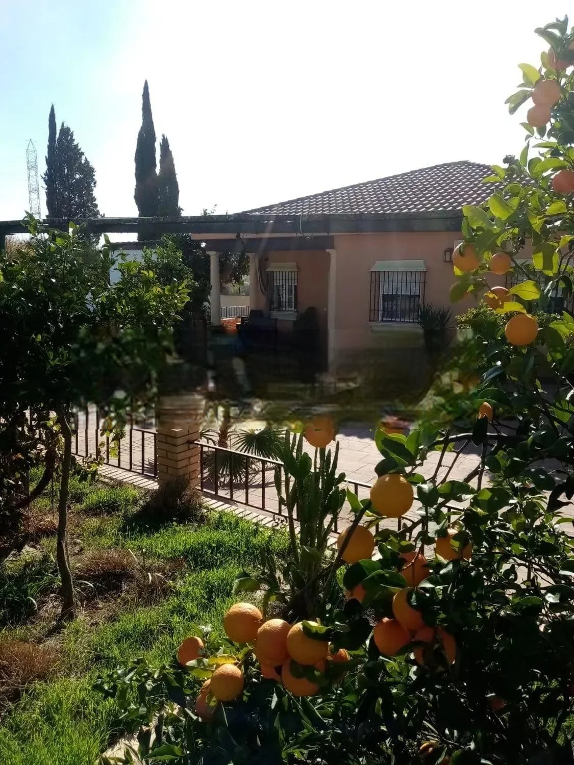 Chalet cerca de Córdoba con piscina privada