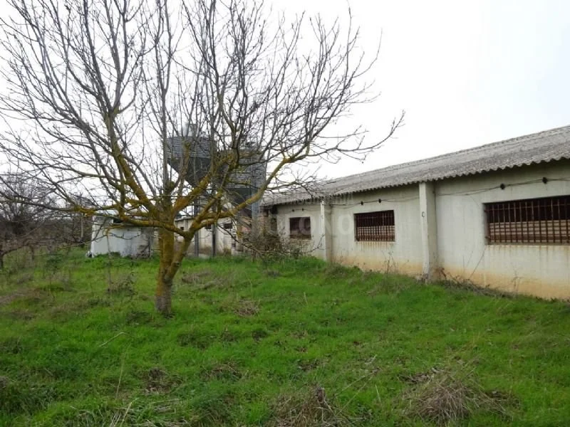 Industrial pavilion with water well