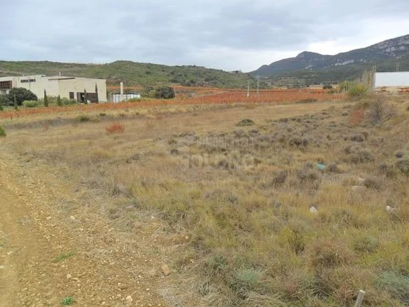 Two-parcel holding across Samaniego–Ábalos