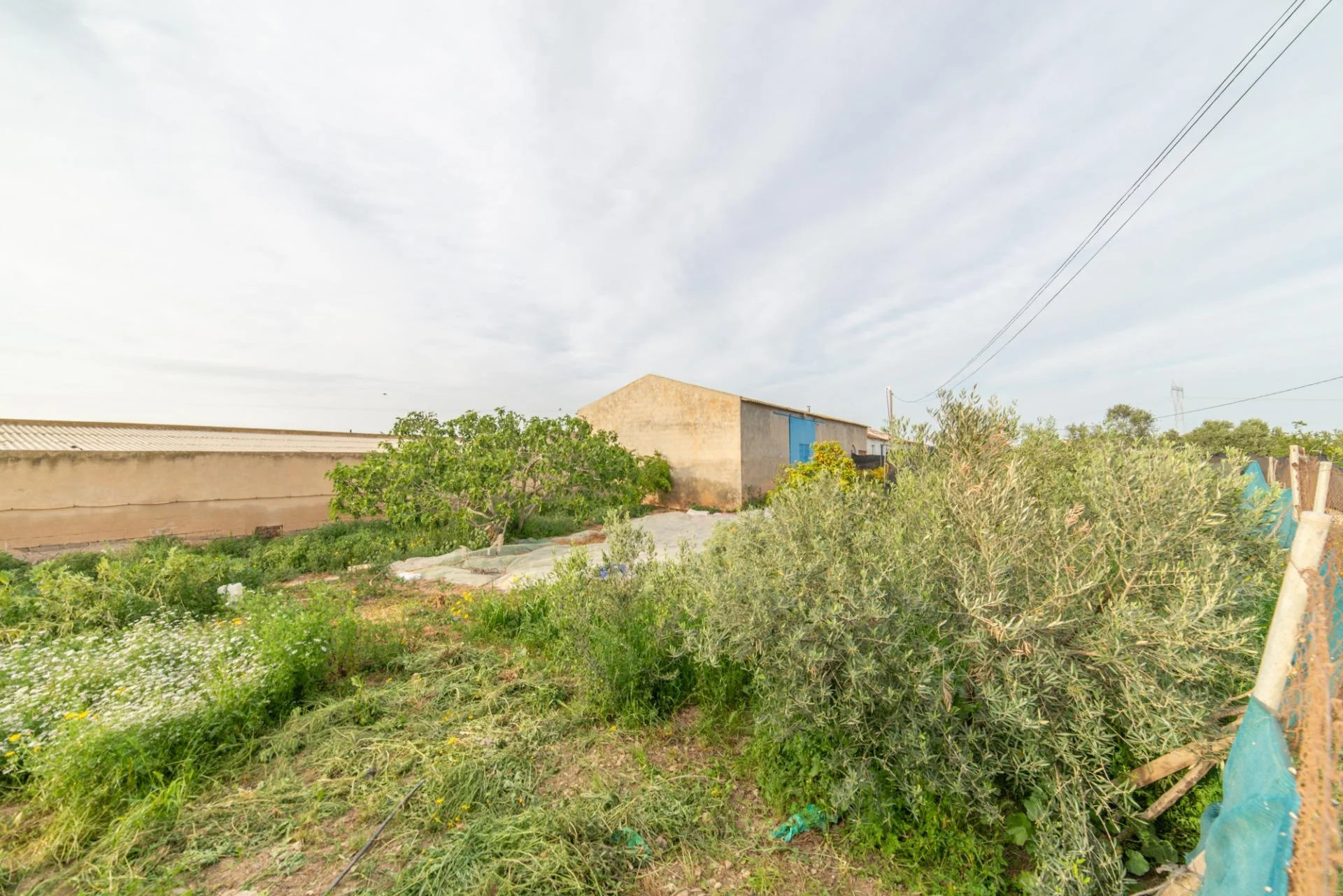 Rural house with 4,100 m² plot