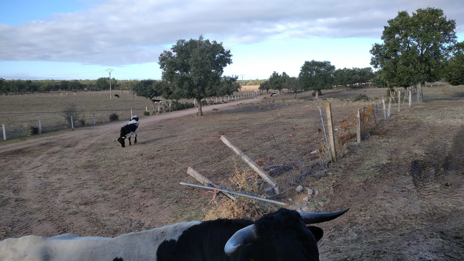 Large agricultural finca near Topas