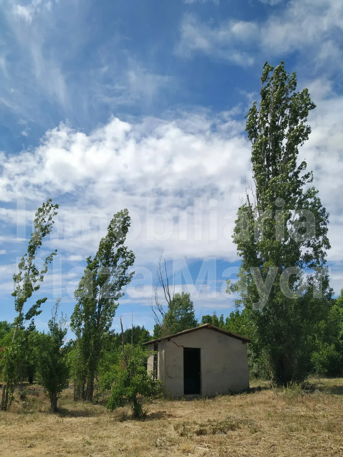 Rural plot in Almenara, 8,370 m²