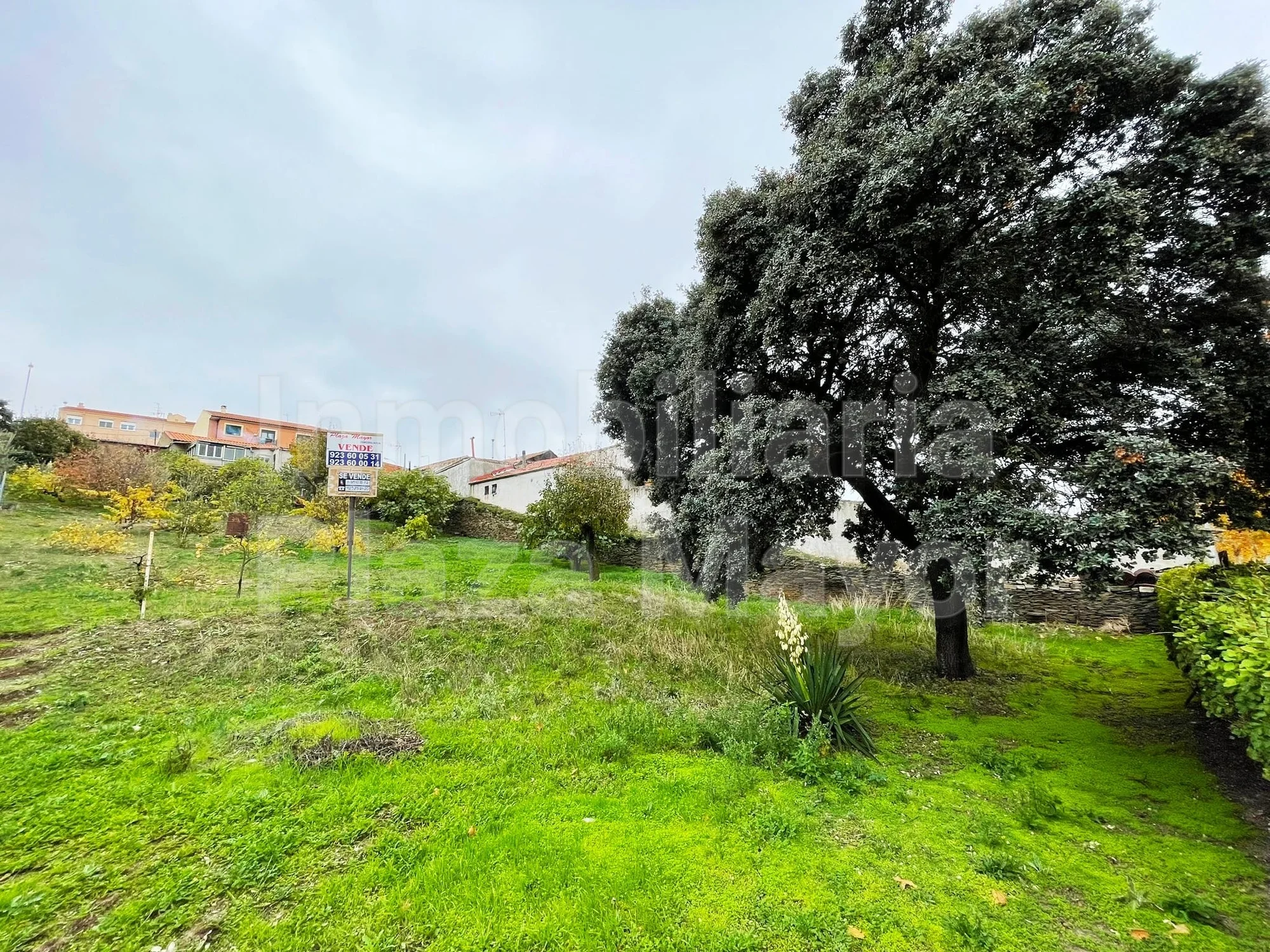 Urban plot in Salamanca, 550 m²
