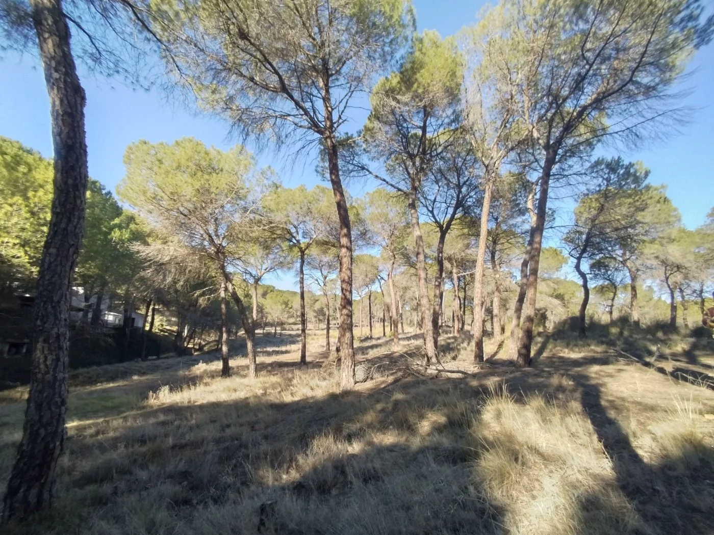 Terreno en Villalgordo del Júcar