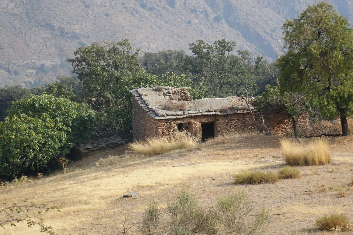 Gran finca de regadío con ruina