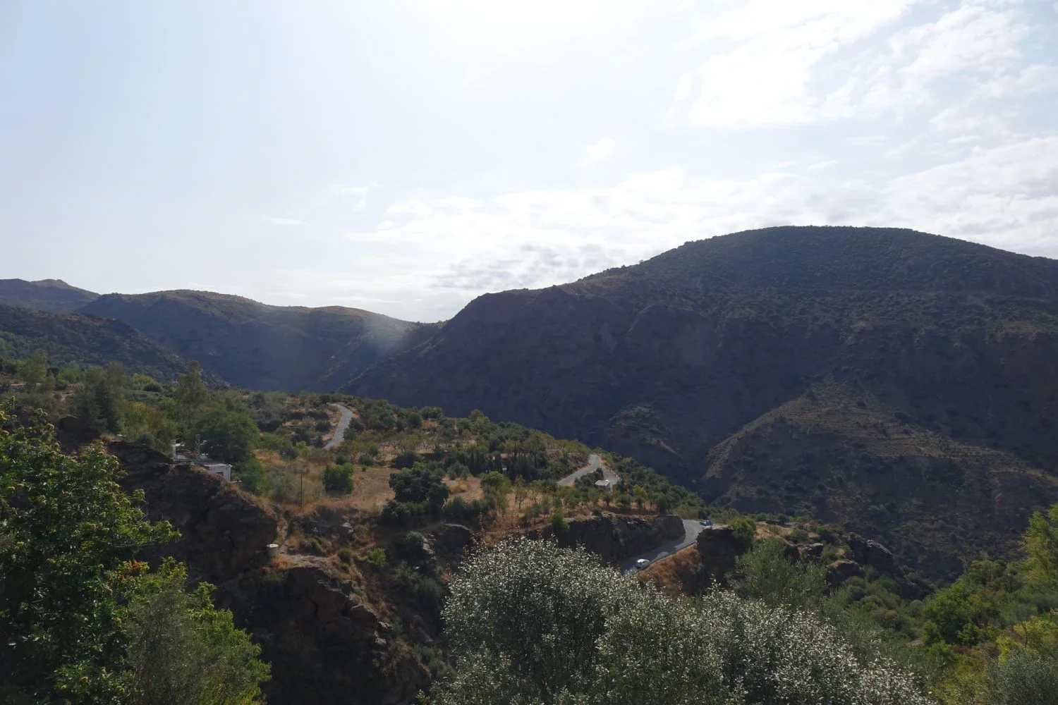 Irrigated rural land with productive trees