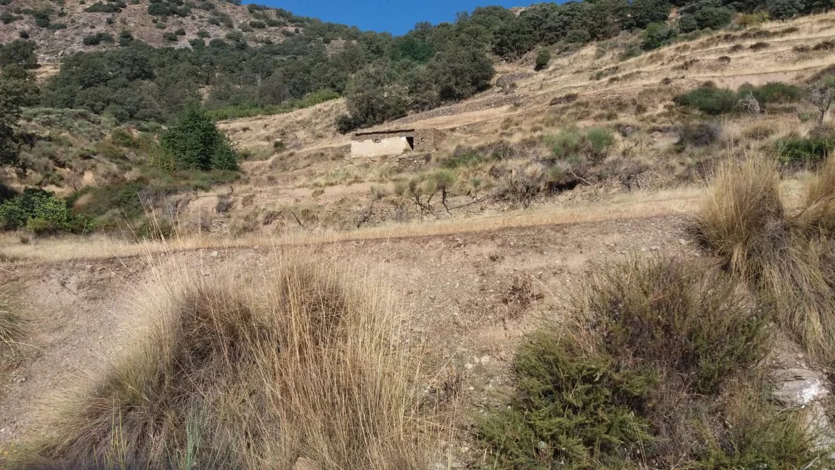 Irrigated rural land with spring