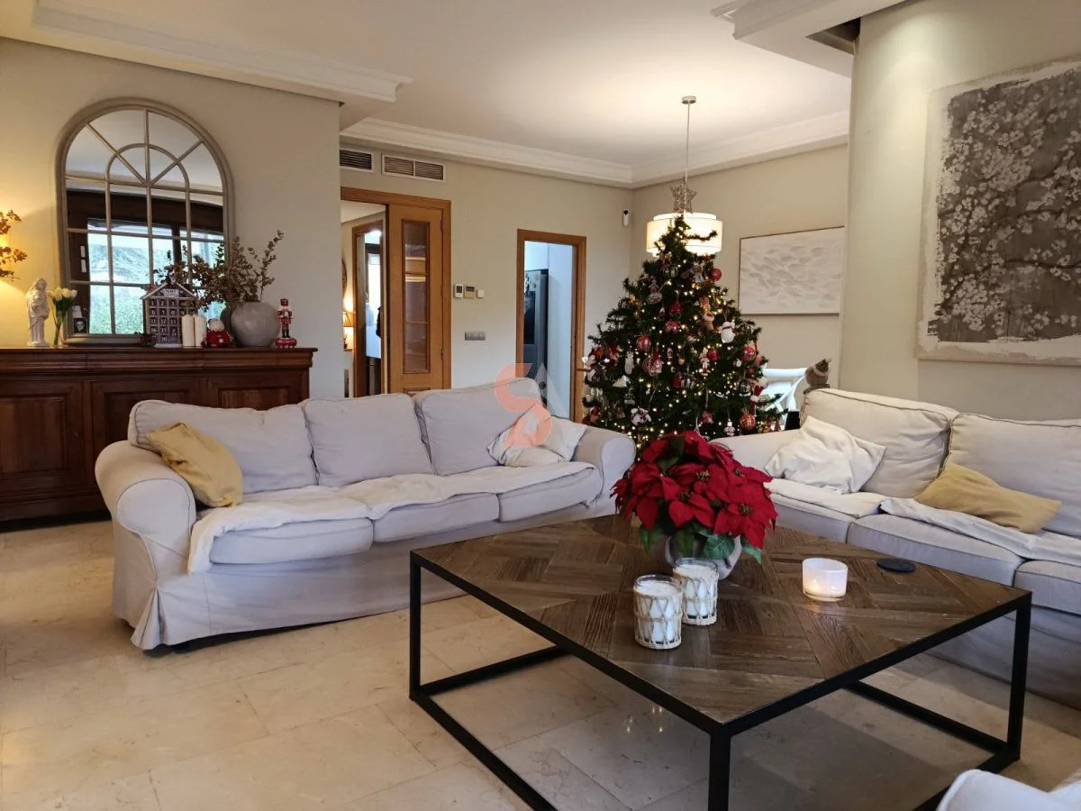 Four-floor seven-bedroom townhouse in Entrepinos