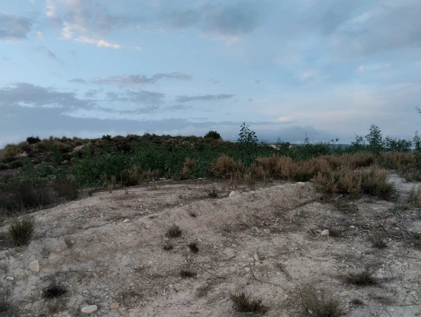 Gran parcela rústica cerca de Campos del Río