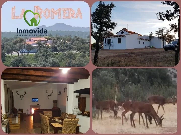 Reformed chalet on 11-hectare rural plot