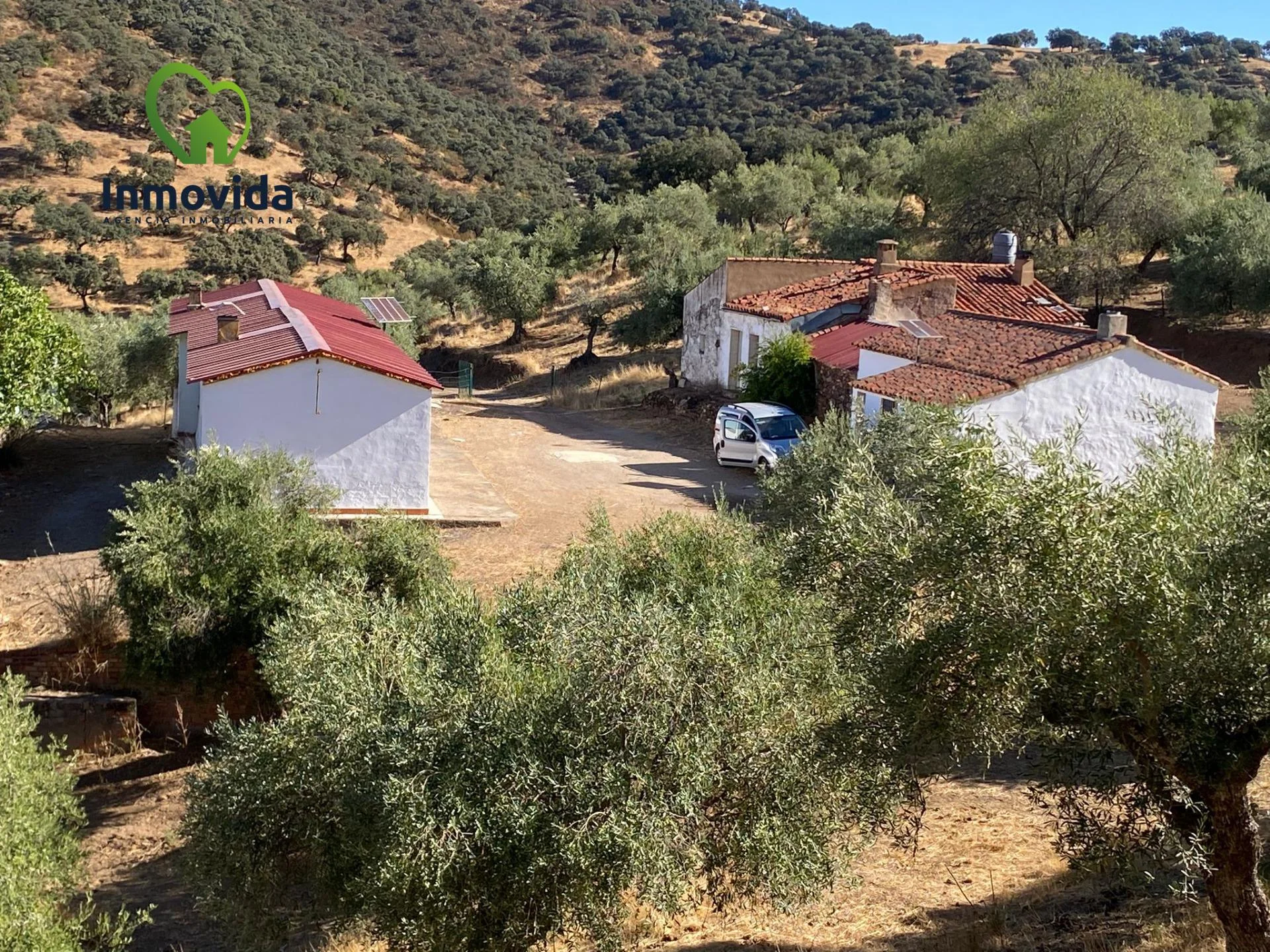 30-hectare olive estate near Córdoba