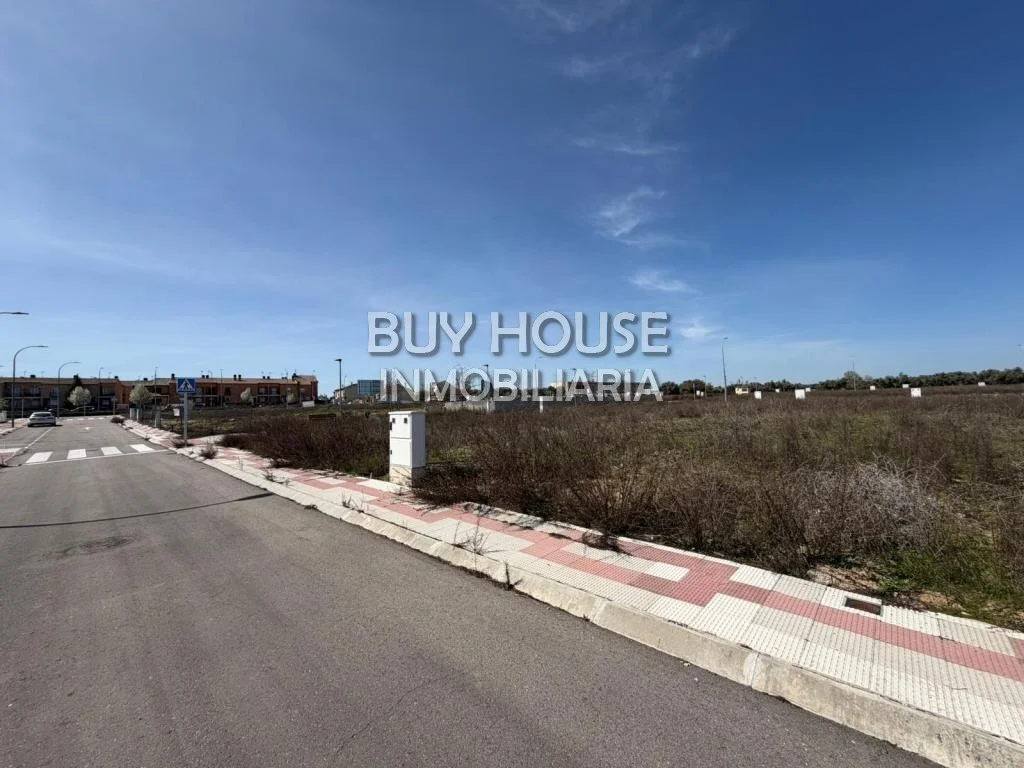 Developable corner plot in Illescas