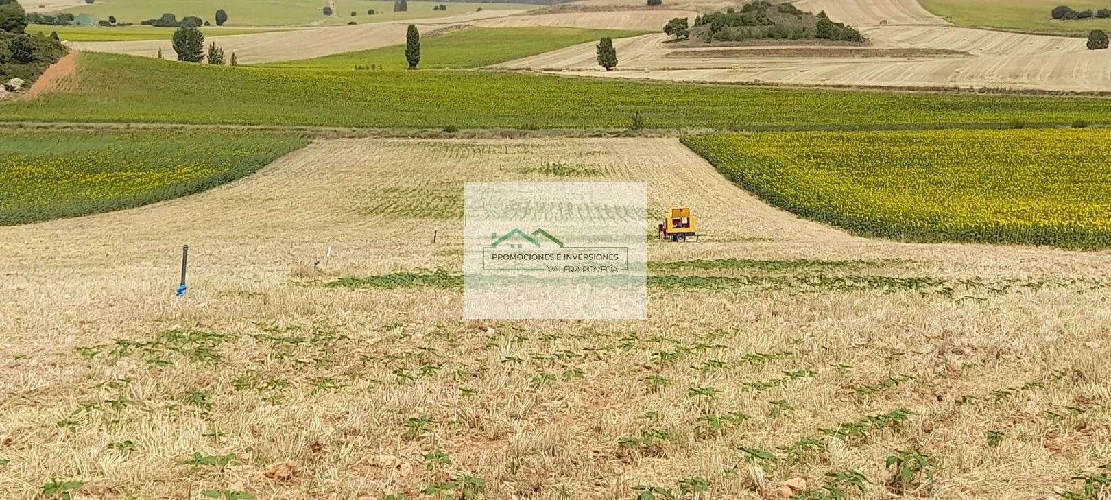 Irrigated rural plot near Chumillas
