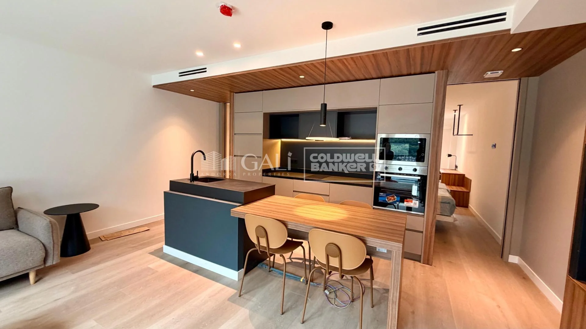 Andorra penthouse with managed tourist investment