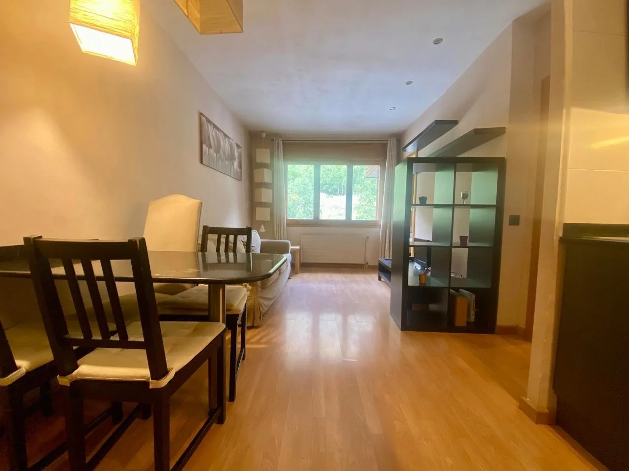 Reformed El Tarter apartment, 1 bedroom