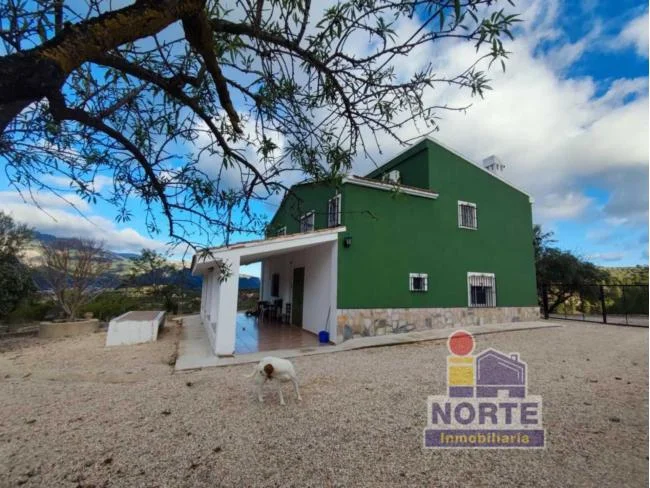 Country house, six bedrooms, olive grove