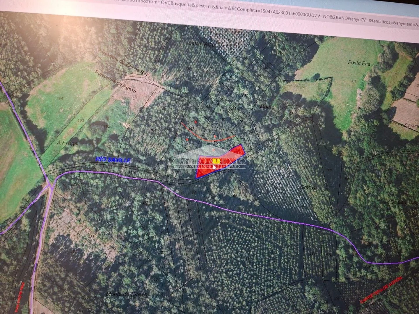 Rural plot near Maceda, 1,204 m²