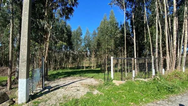 Rustic land near A Coruña, 3442 m²