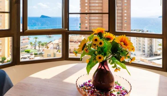 Reformed 40 m² Benidorm studio
